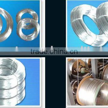 Galvanized Iron Wire (15 years Factory)