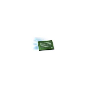 nand+SDRAM (1Gb+512Mb)130ball