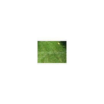 Green Landscaping Artificial Grass for Carpet, Home Artificial Turf 11600Dtex, Gauge 3/8
