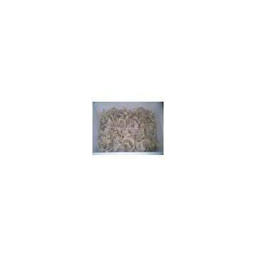Uncleaned Bird Nest Pure