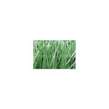 Field Green Synthetic Turf Lawns 50mm 9800Dtex Football Artificial Grass