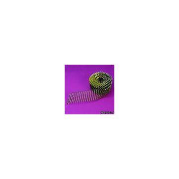 Sell Screw Coil Nails