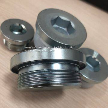 Metric Male captive seal internal   hex plug