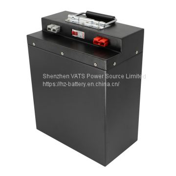 Customized Li Ion 48V 60ah 40ah 20ah Lithium Battery Pack for Solar System