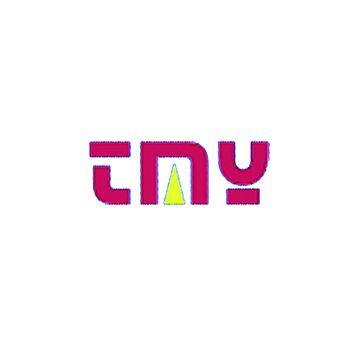 shenzhen TMY Arts & Crafts Co., Ltd.