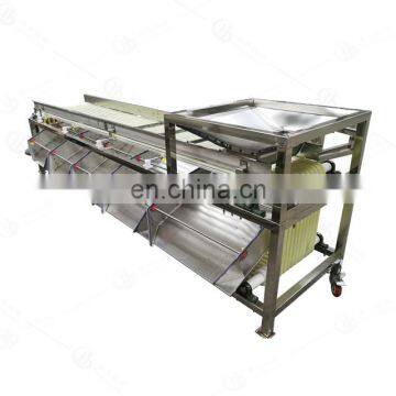 Industrial Mango Orange Apple Avocado Fruit Vegetable Washing Waxing Drying Grading Machine