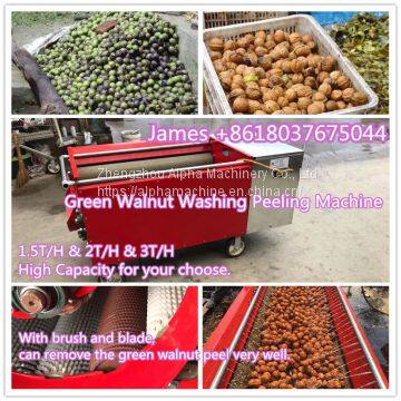 green walnut washing peeling machine walnut peeler machine
