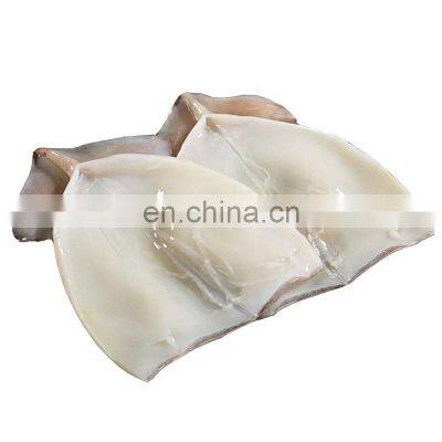 Skin on Frozen squid fillet for human consumption Todarodes squid