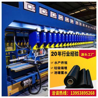 TGLG-PE-100-800-1.5 High Strength Honeycomb Restraint System Plastic Geocell photo-4