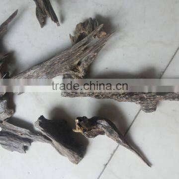 Agarwood Chips