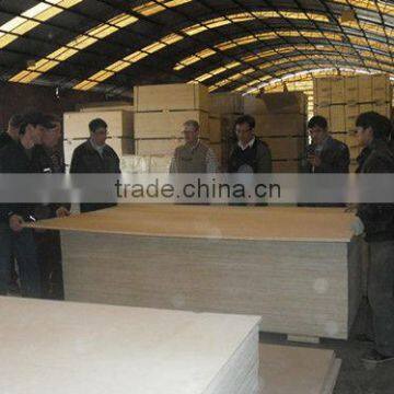 12mm Plywood Price of Marine Plywood in Philippines for Prices Plywood photo-3
