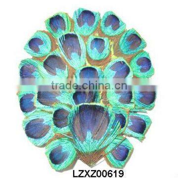 peacock feather tails pad LZXZ00619