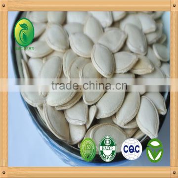 good taste roasted and salted shine skin pumpkin seeds 11mm 10mm 9mm high quality