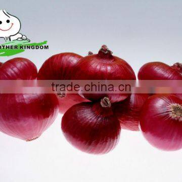 Chinese Fresh Onion, Red Onion,Onion Plant