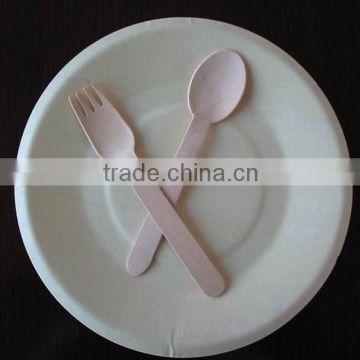 disposable round plate