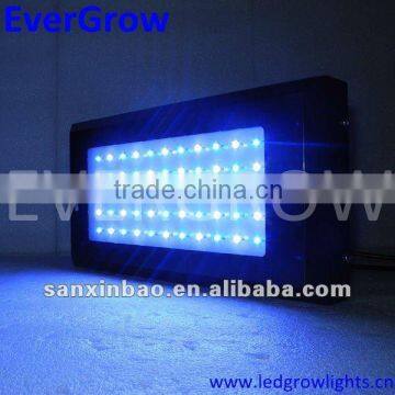 High Power 120W 12000k~14000k Dimmable LED aquarium lights 460nm Blue Hot Selling