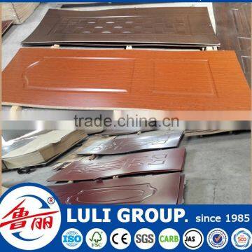 Door Skin