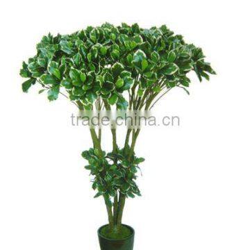 Artificial Money Tree plant(Real Trunk)