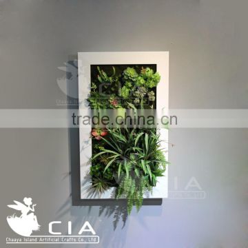 Hotselling Artificial Succulents Plants plastic Succulents Wall Art for Living Wall Decor