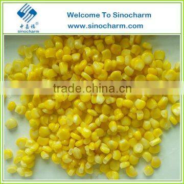 Best Quality Canned Sweet Corn Kernels