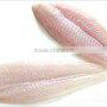 Pangasius fillet