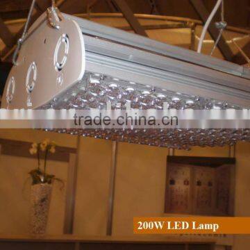 LED grow light