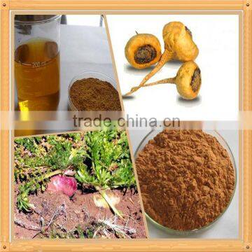 Natural OPC 95% Low Price Pine Bark Extract photo-6