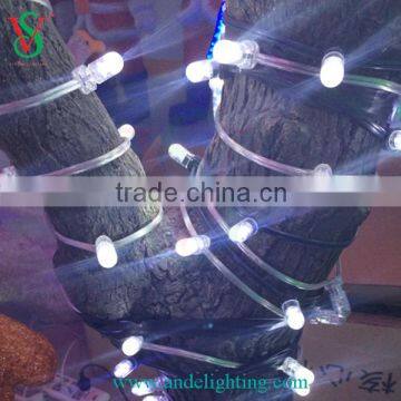 DC12V salely use outdoor christmas decoration led string light