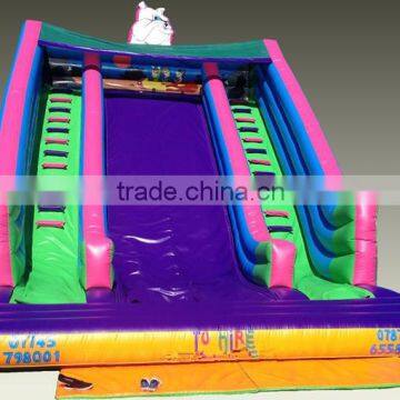 Popular Gaint Inflatable water and dry slide, cheap inflatable water slide for kids and adult supplier