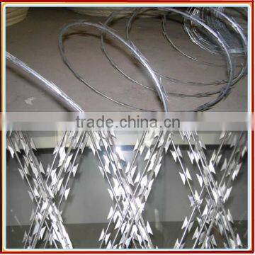 fence with razor wire/razor wire fence/high quality razor wire fence