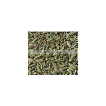 Fennel Seeds