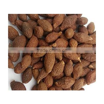 VIETNAM MALVA NUT FOR SALES