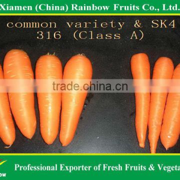 Organic carrot 316#