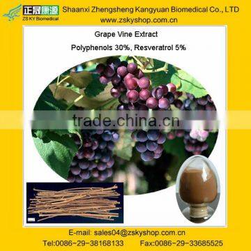 Grape Vine Extract, Polyphenols 30%, Resveratrol 5% from GMP manufacturer