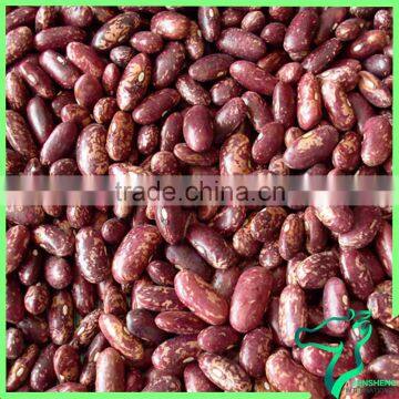 High Quality Origin In Heilongjiang China Red Speckled Good For Canned