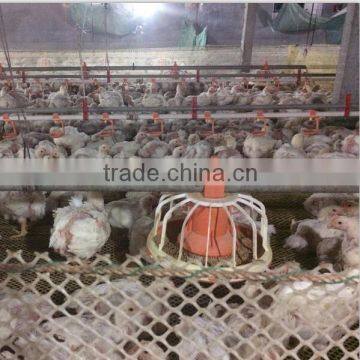 Broiler Equipment Automatic Chicken Feeder for Poultry House photo-5