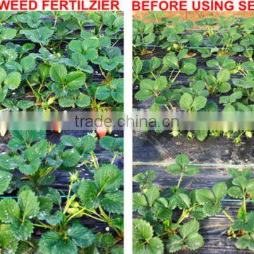 100% Water Soluble Safe Seaweed Fertilizer Growth Enhancer for Plants Foliar