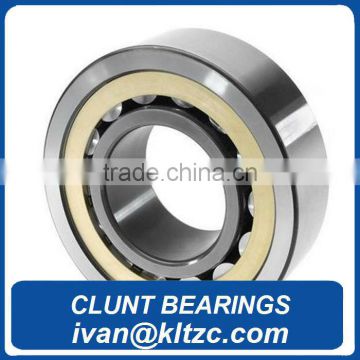 Cylindrical Roller Bearings nj221 shaker and conveying machinery