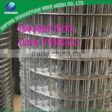 Anping factory export Sri Lanka galvanized welded wire netting