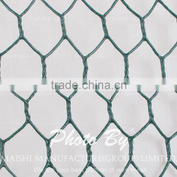 Low Carbon Steel Hexagonal Wire Mesh photo-3