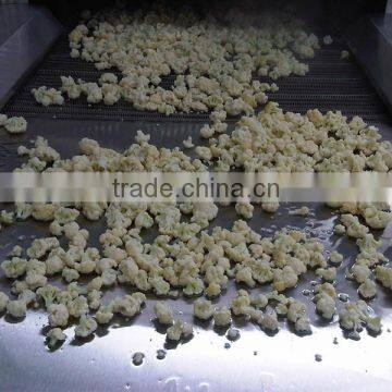 Vegetable Tunnel Freezer photo-3