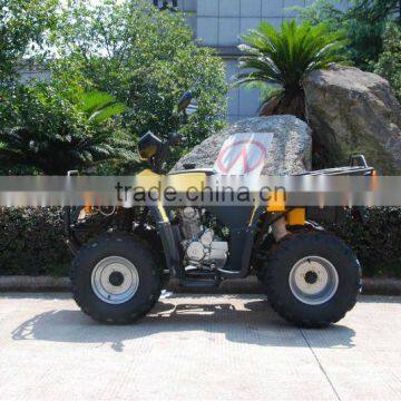 JEA-24-13- 250cc off Road Sand Beach Quad Atv Bike Single Cylinder photo-3