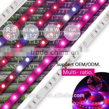 LED Strip Light Indooruse photo-2