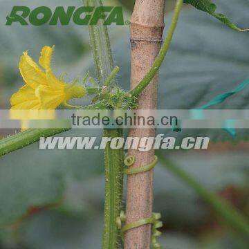 Green Color Plastic Twist Ties For Garden Binding