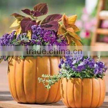 pumpkin flowerpot