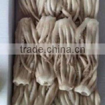 Frozen Illex Squid Tentacle photo-4