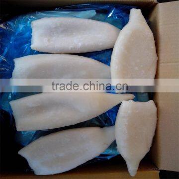 Frozen Pacific Squid Tube u5 u7 U10