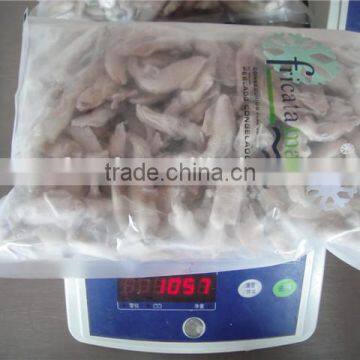 High Quality IQF Baby Squid photo-5