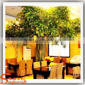 Artificial Architectural Model Tree of Ficus Tree / Artificial Big Trees Artificial Plants of Leaves photo-3
