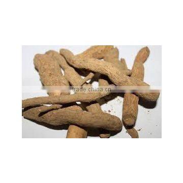 Rauwolfia Serpentine photo-2